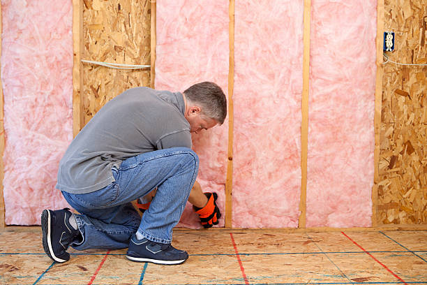 Best Insulation Contractors for Homes  in Lechee, AZ